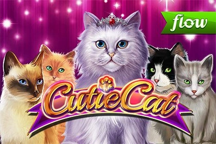 08269 cutie cat