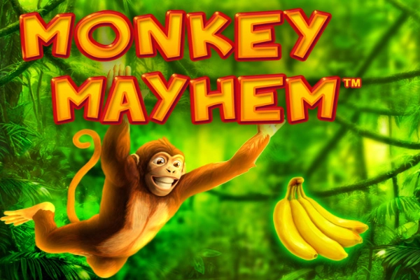 13867 monkey mayhem