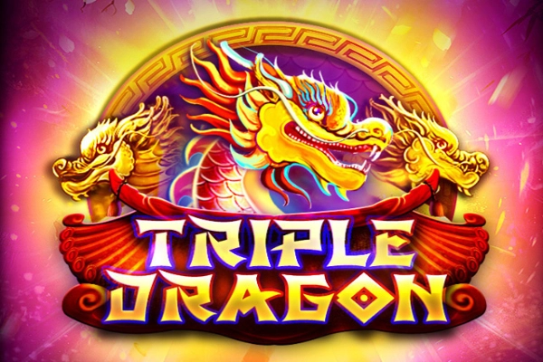 16310 triple dragon