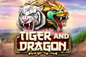 19271 tiger and dragon