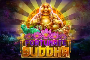 20474 fortunate buddha
